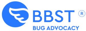 BBST Bug Advocacy - Software Testing Course